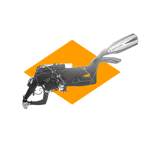 Booster-Immersion Offre Booster Linkvalue - Phase immersion